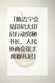 陈吉宁会见印尼大印尼行动党秘书长、人民协商会议主席穆扎尼