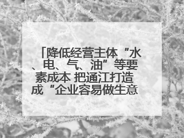 降低经营主体“水、电、气、油”等要素成本 把通江打造成“企业容易做生意的地方”