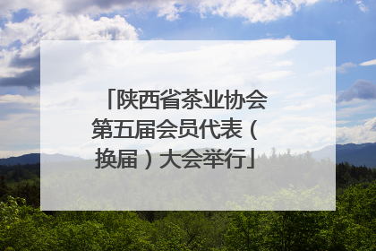 陕西省茶业协会第五届会员代表（换届）大会举行