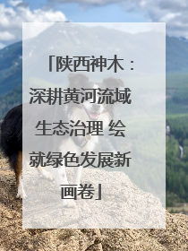 陕西神木：深耕黄河流域生态治理 绘就绿色发展新画卷