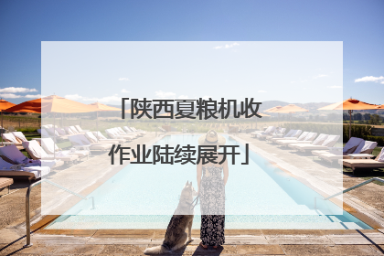 陕西夏粮机收作业陆续展开