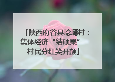 陕西府谷县埝墕村：集体经济“结硕果” 村民分红笑开颜