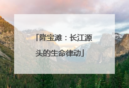 隆宝滩：长江源头的生命律动