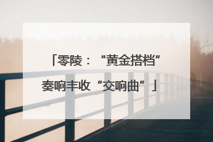 零陵：“黄金搭档”奏响丰收“交响曲”