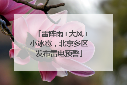 雷阵雨+大风+小冰雹，北京多区发布雷电预警