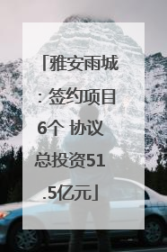 雅安雨城：签约项目6个 协议总投资51.5亿元