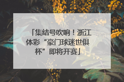 集结号吹响！浙江体彩“豪门球迷世俱杯”即将开赛
