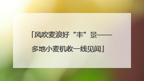 风吹麦浪好“丰”景——多地小麦机收一线见闻
