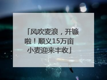 风吹麦浪，开镰啦！顺义15万亩小麦迎来丰收