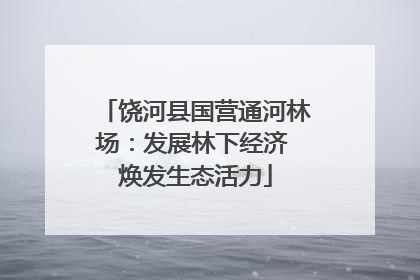 饶河县国营通河林场：发展林下经济 焕发生态活力