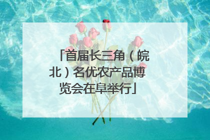 首届长三角（皖北）名优农产品博览会在阜举行