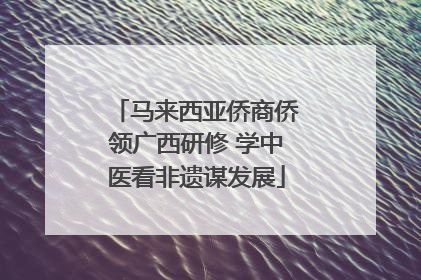 马来西亚侨商侨领广西研修 学中医看非遗谋发展