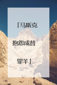 马斯克抱怨成替罪羊