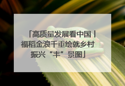 高质量发展看中国丨福稻金浪千重绘就乡村振兴“丰”景图