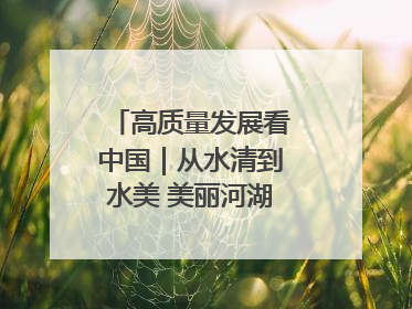 高质量发展看中国｜从水清到水美 美丽河湖扮靓美丽乡村
