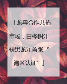 龙粤合作共拓市场，白桦树汁获黑龙江首张“湾区认证”