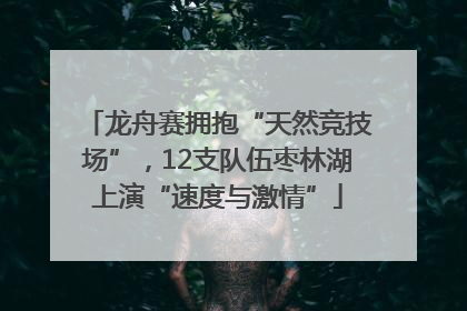 龙舟赛拥抱“天然竞技场”，12支队伍枣林湖上演“速度与激情”