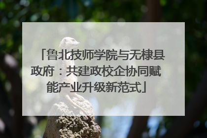 鲁北技师学院与无棣县政府：共建政校企协同赋能产业升级新范式