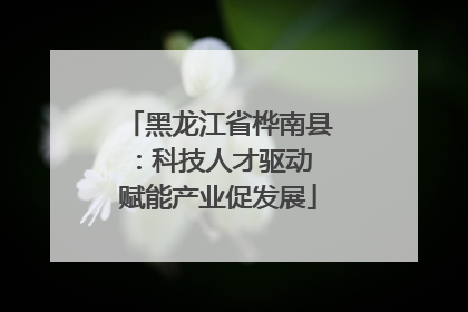 黑龙江省桦南县：科技人才驱动 赋能产业促发展