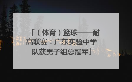 （体育）篮球——耐高联赛：广东实验中学队获男子组总冠军