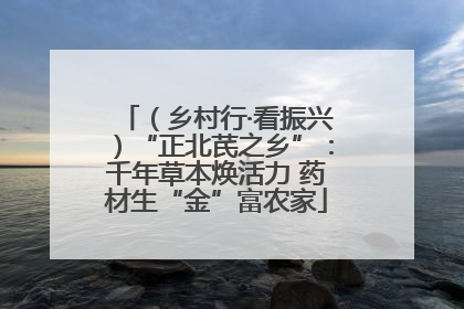 （乡村行·看振兴）“正北芪之乡”：千年草本焕活力 药材生“金”富农家