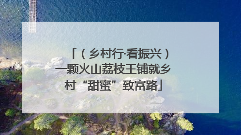 （乡村行·看振兴）一颗火山荔枝王铺就乡村“甜蜜”致富路