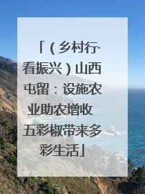 （乡村行·看振兴）山西屯留：设施农业助农增收 五彩椒带来多彩生活