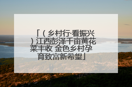 （乡村行·看振兴）江西彭泽千亩黄花菜丰收 金色乡村孕育致富新希望
