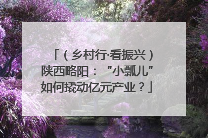 （乡村行·看振兴）陕西略阳：“小瓢儿”如何撬动亿元产业？