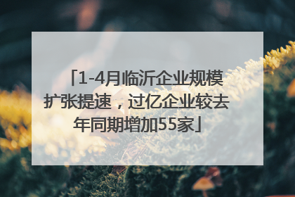 1-4月临沂企业规模扩张提速，过亿企业较去年同期增加55家