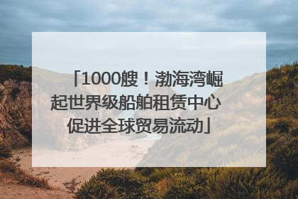1000艘！渤海湾崛起世界级船舶租赁中心 促进全球贸易流动