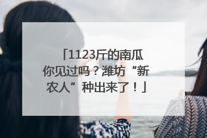 1123斤的南瓜你见过吗？潍坊“新农人”种出来了！