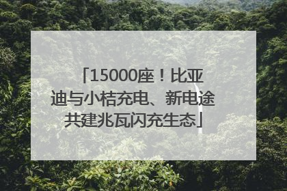 15000座！比亚迪与小桔充电、新电途共建兆瓦闪充生态