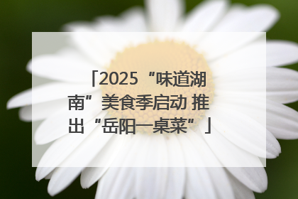 2025“味道湖南”美食季启动 推出“岳阳一桌菜”