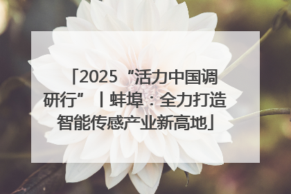 2025“活力中国调研行”丨蚌埠：全力打造智能传感产业新高地