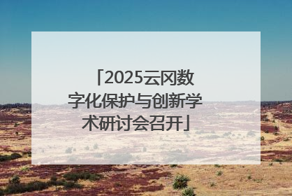 2025云冈数字化保护与创新学术研讨会召开