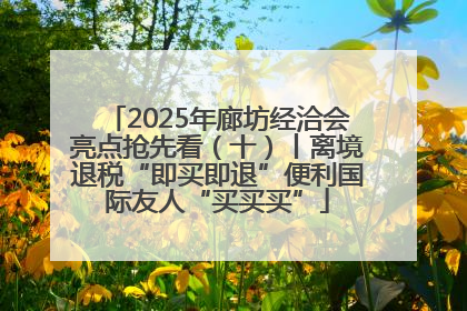 2025年廊坊经洽会亮点抢先看（十）丨离境退税“即买即退”便利国际友人“买买买”