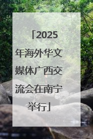2025年海外华文媒体广西交流会在南宁举行