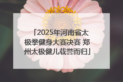 2025年河南省太极拳健身大赛决赛 郑州太极健儿载誉而归