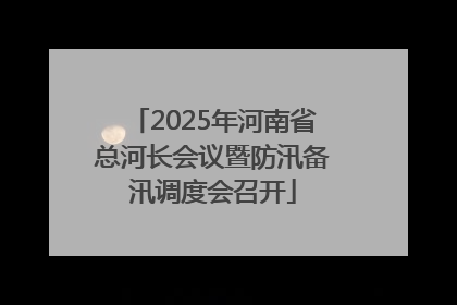 2025年河南省总河长会议暨防汛备汛调度会召开