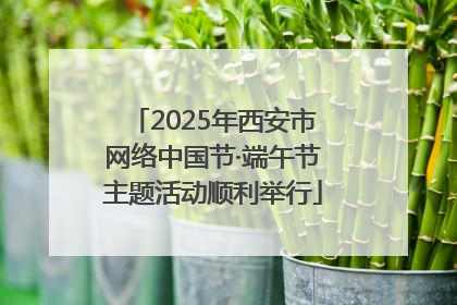 2025年西安市网络中国节·端午节主题活动顺利举行