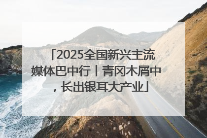2025全国新兴主流媒体巴中行丨青冈木屑中，长出银耳大产业