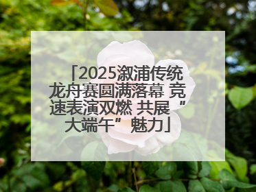 2025溆浦传统龙舟赛圆满落幕 竞速表演双燃 共展“大端午”魅力
