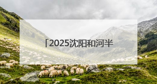 2025沈阳和河半程马拉松即将开赛 辽宁平安产险全程护航