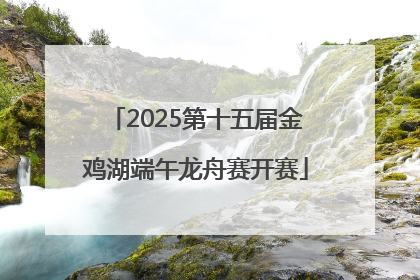 2025第十五届金鸡湖端午龙舟赛开赛