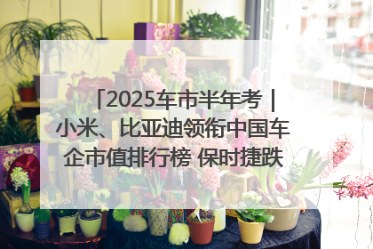 2025车市半年考｜小米、比亚迪领衔中国车企市值排行榜 保时捷跌出全球TOP10