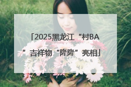 2025黑龙江“村BA”吉祥物“隆隆”亮相