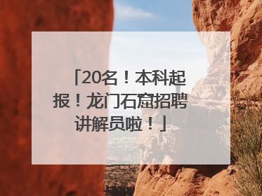 20名！本科起报！龙门石窟招聘讲解员啦！