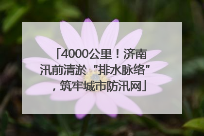 4000公里！济南汛前清淤“排水脉络”，筑牢城市防汛网