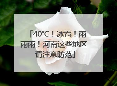 40℃！冰雹！雨雨雨！河南这些地区 请注意防范